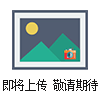 DS788SSDIGI上海DS-788SS平臺稱(chēng)，寺岡DS788SSZ大秤量30kg電子秤校準